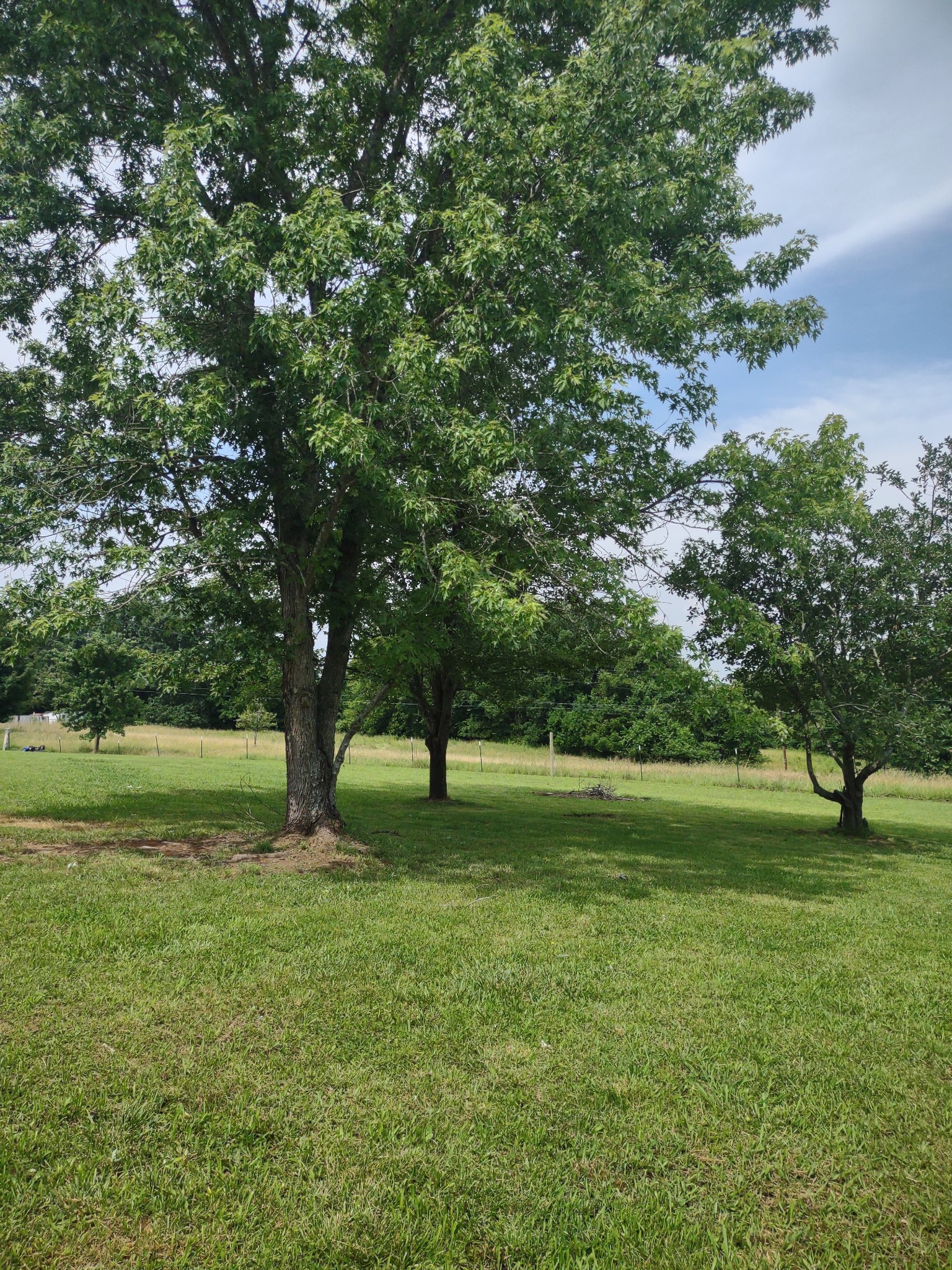 2348 North Commerce Road Lebanon, TN 37090 - Photo 6 of 13