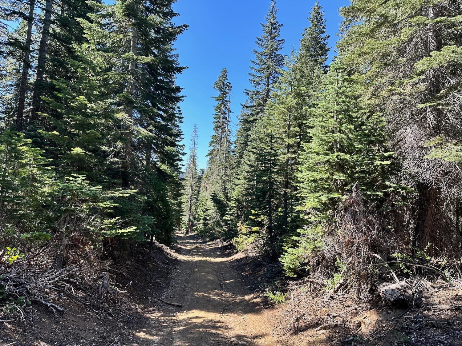 19611 Marsh Mill Road Nevada City, CA 95959 - Photo 16 of 32 a view of a water fountain in front of a house