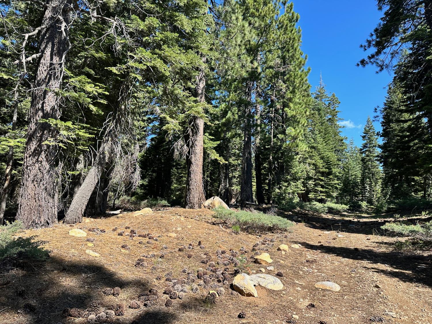 19611 Marsh Mill Road Nevada City, CA 95959 - Photo 22 of 32 a view of a snow with trees in the background