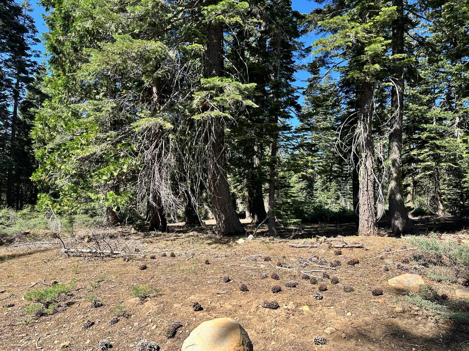 19611 Marsh Mill Road Nevada City, CA 95959 - Photo 23 of 32 a view of outdoor space with trees