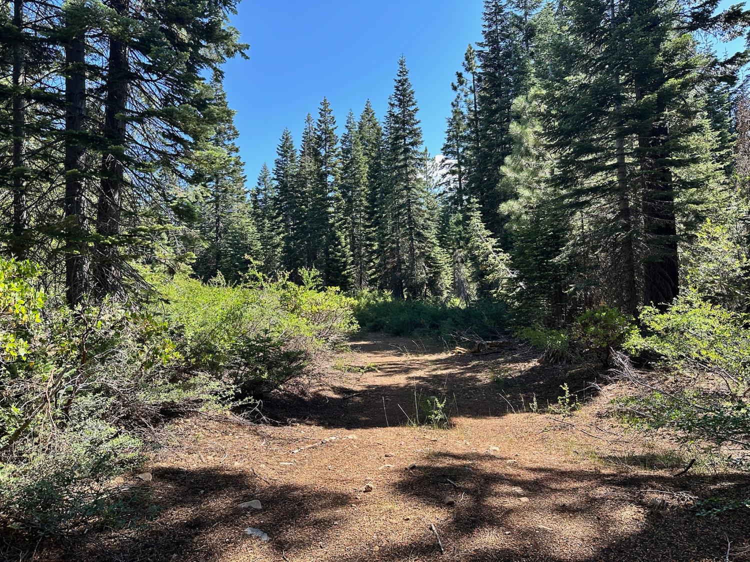 19611 Marsh Mill Road Nevada City, CA 95959 - Photo 28 of 32 a view of a street with a trees