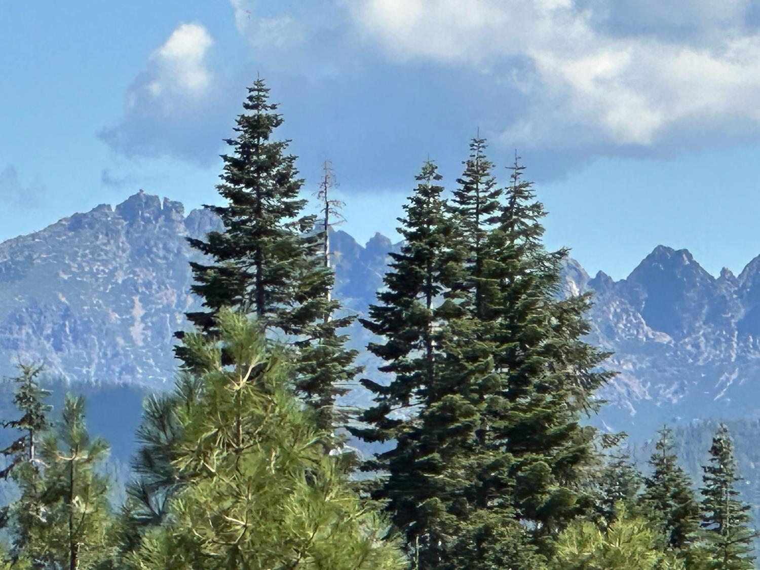 19611 Marsh Mill Road Nevada City, CA 95959 - Photo 3 of 32 an aerial view of a house by greenery space