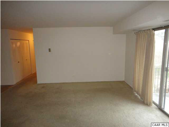 511 1st Street North, Unit 203 Charlottesville, VA 22902 - Photo 5 of 9 an empty room with windows