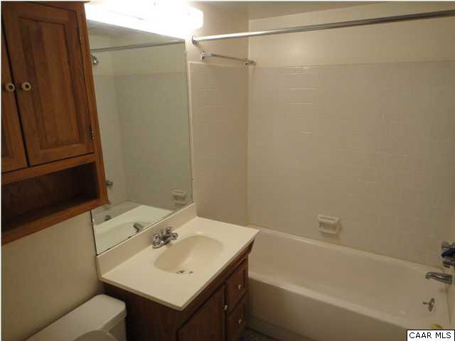 511 1st Street North, Unit 203 Charlottesville, VA 22902 - Photo 9 of 9 a bathroom with a sink and a bathtub
