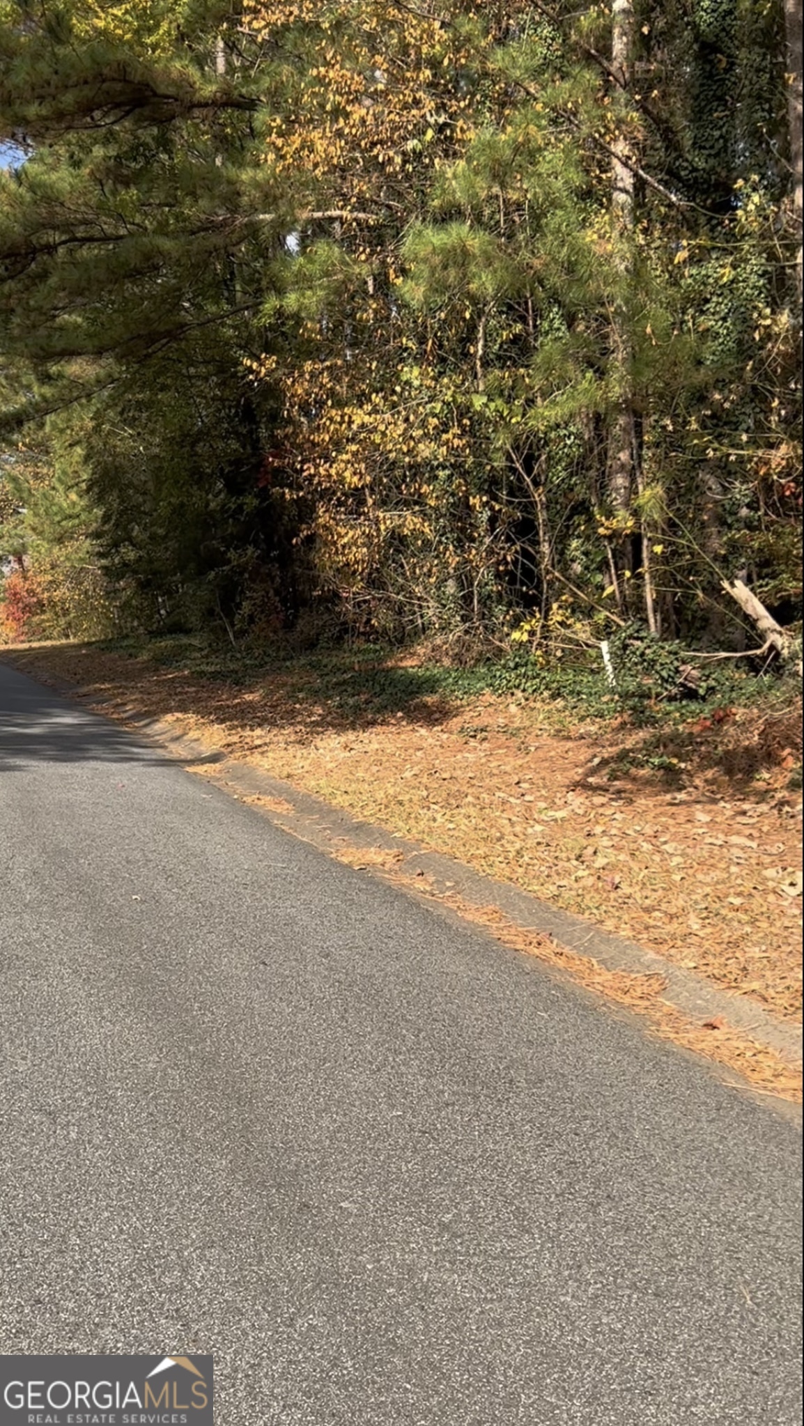 5916 Governors Walk Drive Canton, GA 30115 - Photo 2 of 4 a view of a yard with a mountain