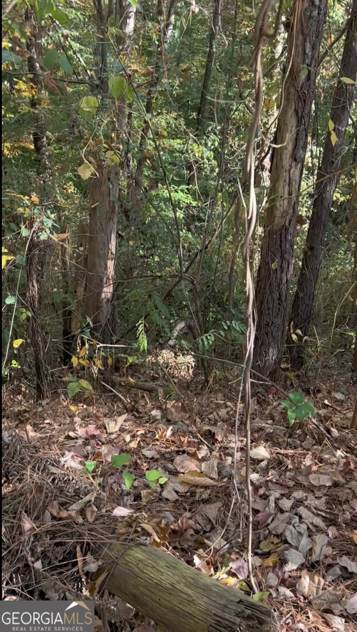5916 Governors Walk Drive Canton, GA 30115 - Photo 3 of 4 a backyard of a house with lots of green space