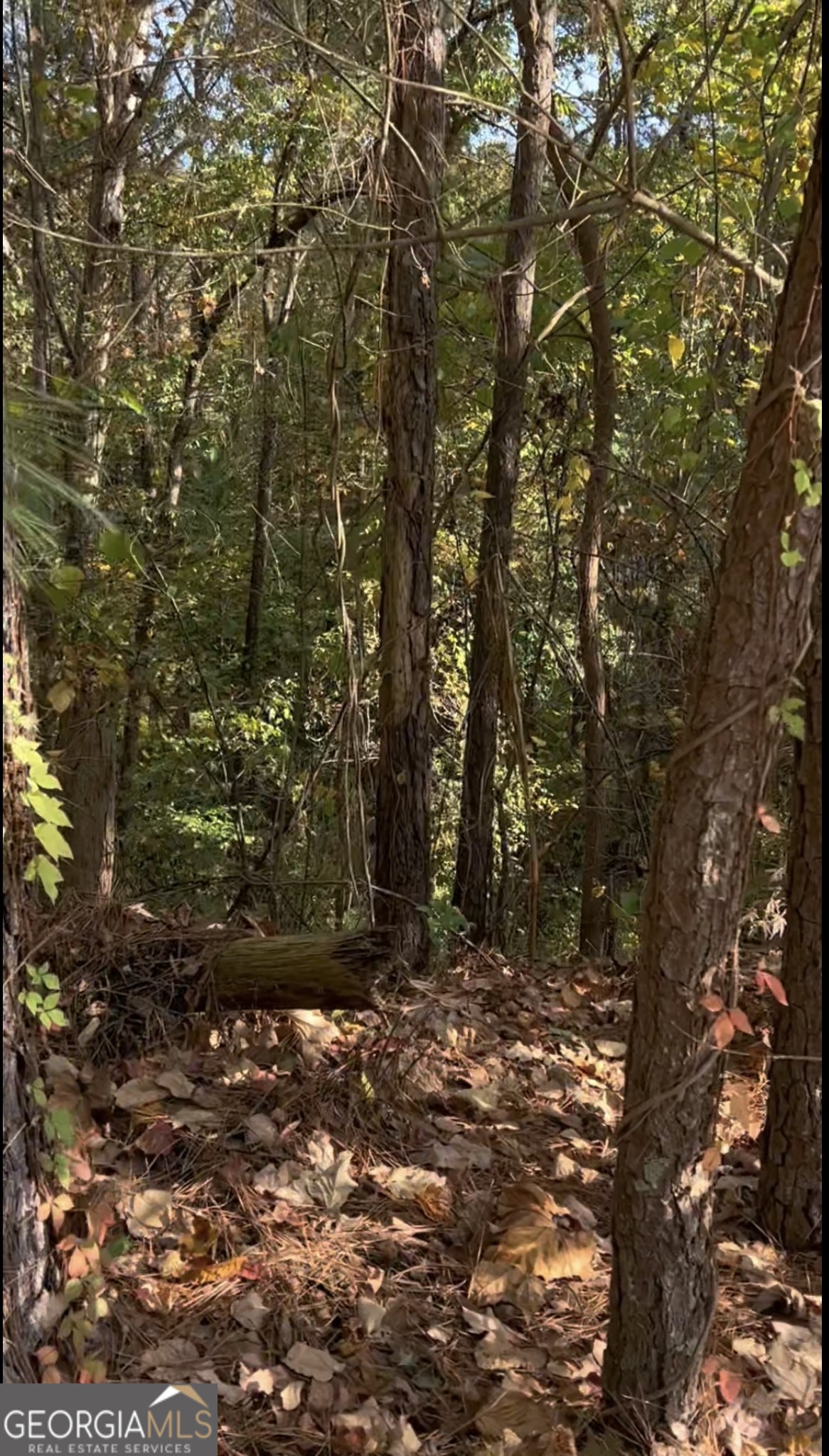 5916 Governors Walk Drive Canton, GA 30115 - Photo 4 of 4 a view of outdoor space and trees