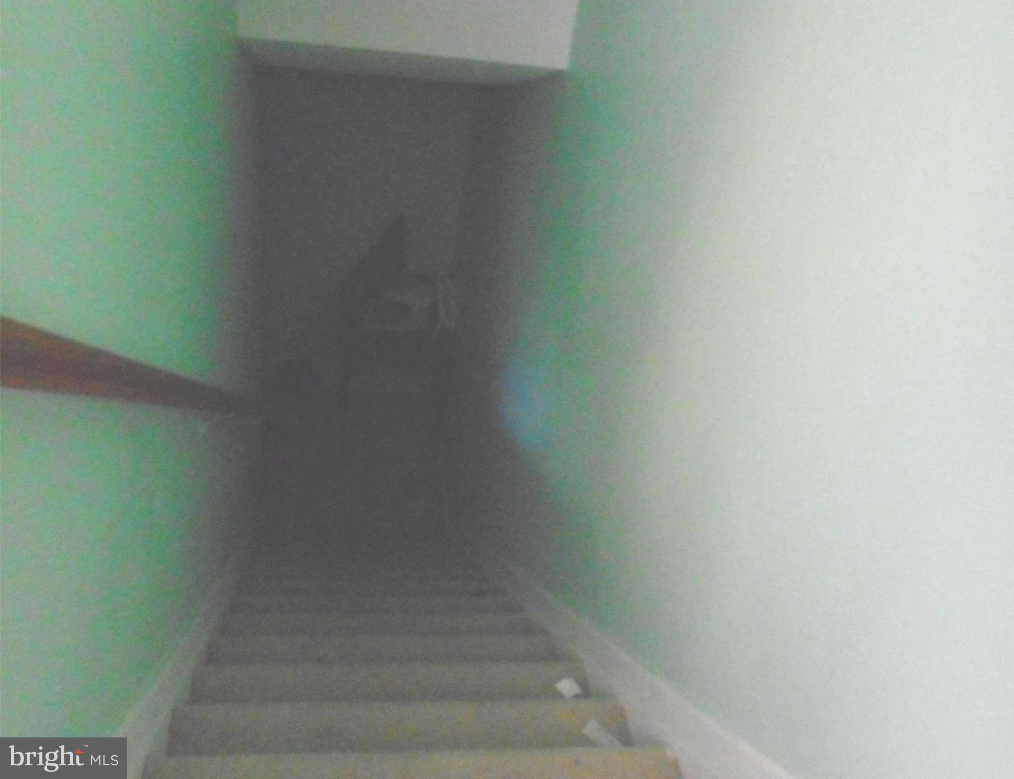 14717 Basingstoke Loop Centreville, VA 20120 - Photo 17 of 18 Basement