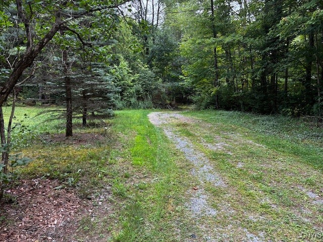 237 Nys Rt-365 Road Remsen, NY 13438 - Photo 35 of 37 Gallery Image 35
