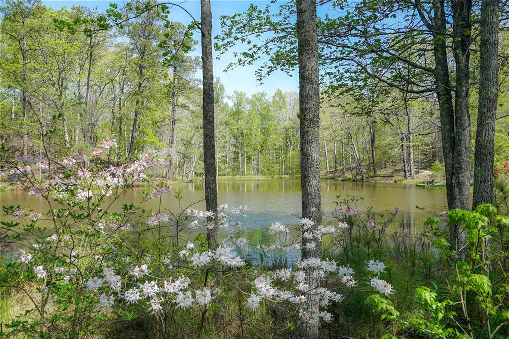 925 Ebenezer Road Milton, GA 30075 - Photo 42 of 48