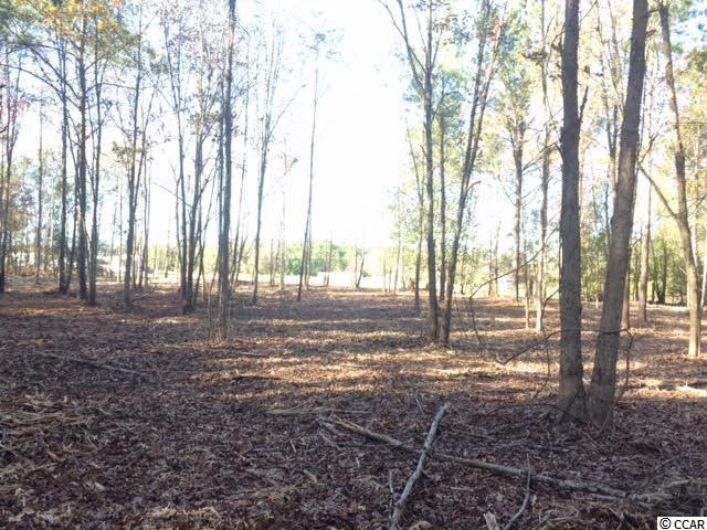 .84-acres Liberty Chapel Road Florence, SC 29506 - Photo 2 of 3 Gallery Image 2