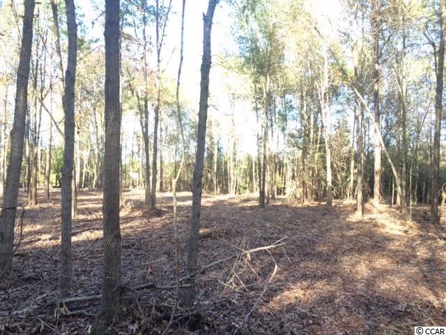 .84-acres Liberty Chapel Road Florence, SC 29506 - Photo 3 of 3 Gallery Image 3