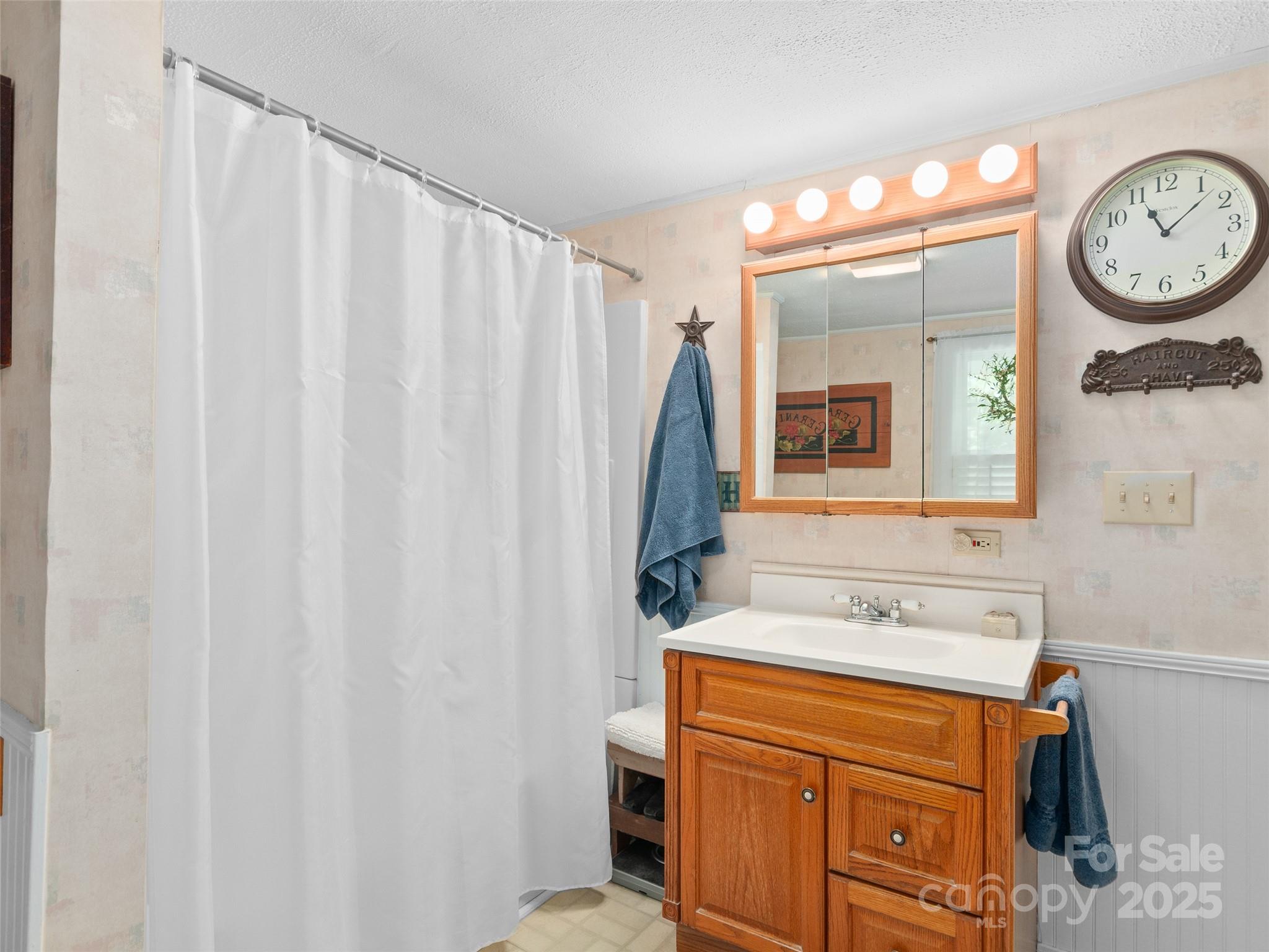229 Crabtree Mountain Road Canton, NC 28716 - Photo 13 of 42 a bathroom with a sink a mirror and a toilet