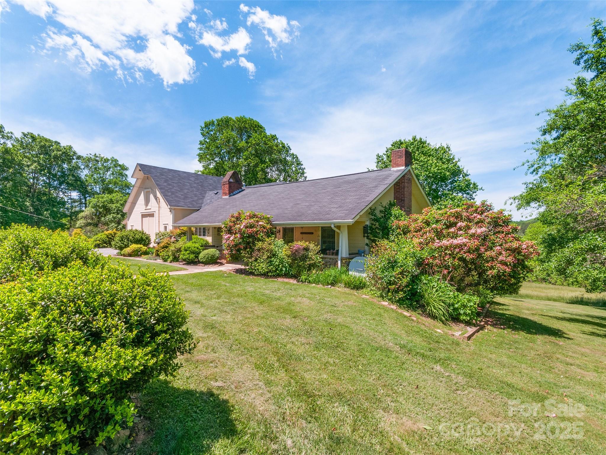 229 Crabtree Mountain Road Canton, NC 28716 - Photo 38 of 42 a view of a house with a big yard potted plants and large tree