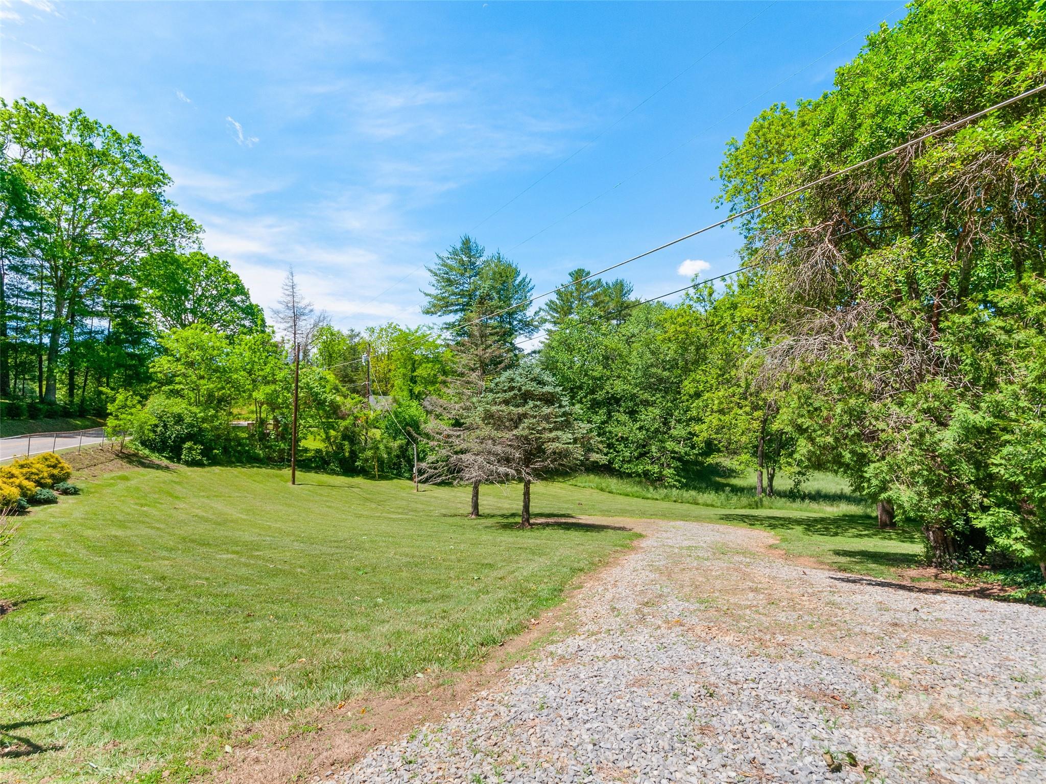 229 Crabtree Mountain Road Canton, NC 28716 - Photo 40 of 42 a view of grassy field with trees