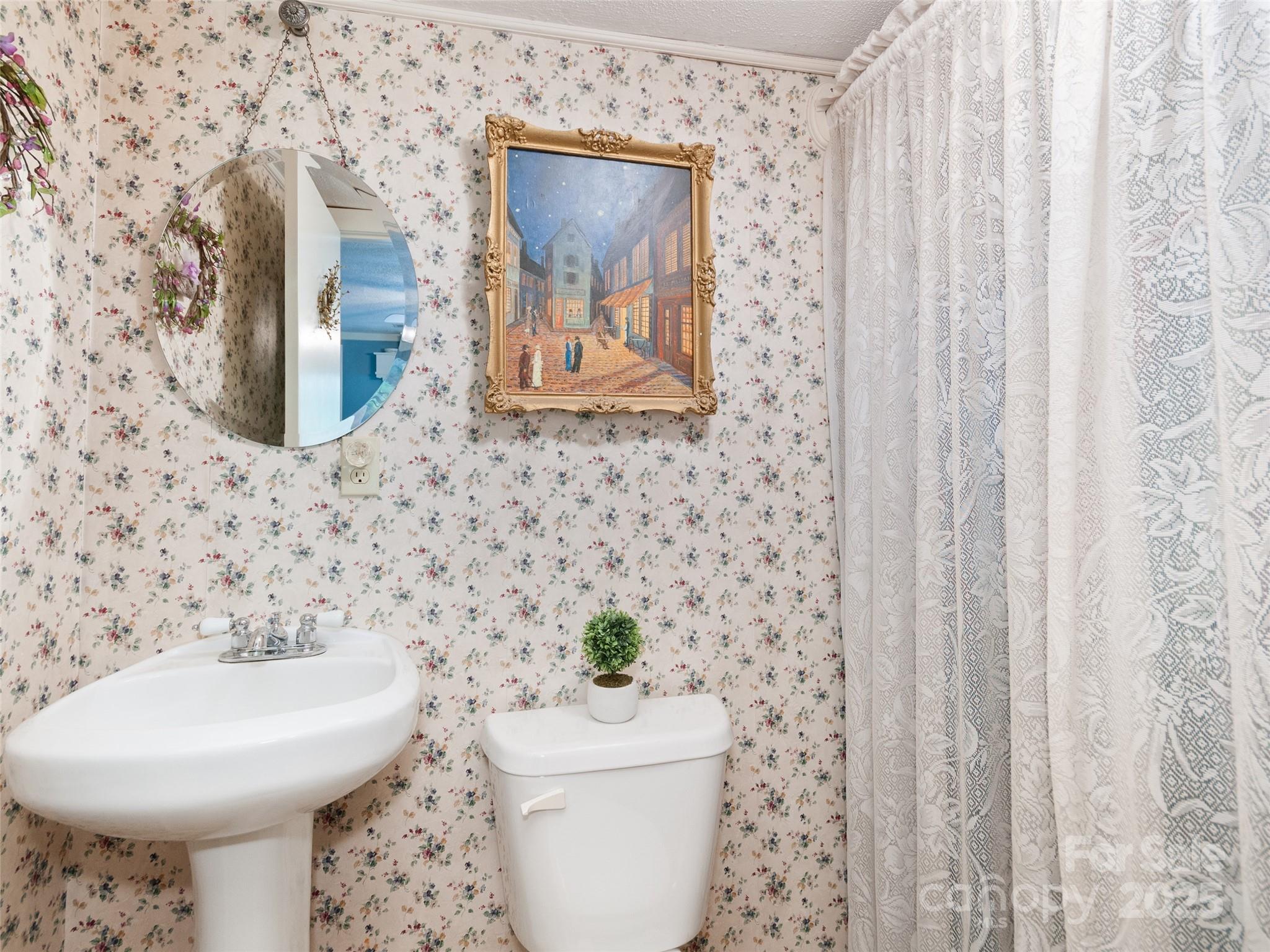 229 Crabtree Mountain Road Canton, NC 28716 - Photo 9 of 42 a bathroom with a sink toilet and mirror