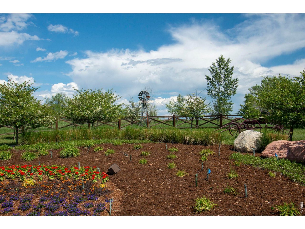 696 Homestead Street Lafayette, CO 80026 - Photo 41 of 49 a view of a garden