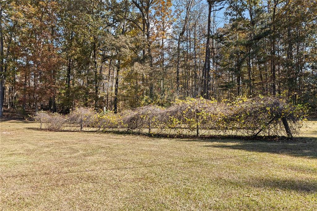 12005 Hamilton Road Chattahoochee Hills, GA 30268 - Photo 41 of 51 a view of yard