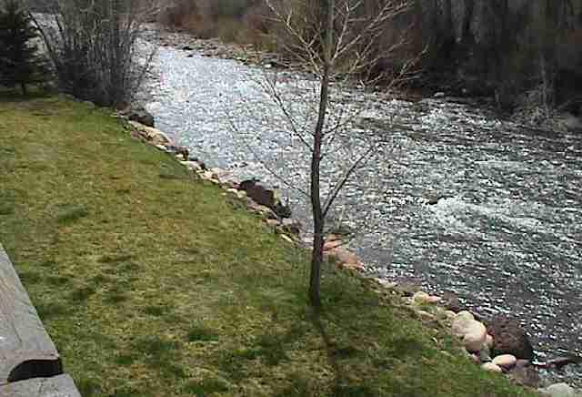 23284 2 Rivers Road, Unit 10A Basalt, CO 81621 - Photo 3 of 7 a view of a yard with plants and large trees