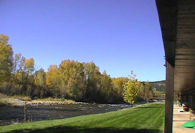 23284 2 Rivers Road, Unit 10A Basalt, CO 81621 - Photo 4 of 7 a view of large yard with large trees