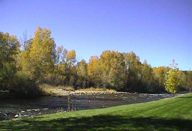 23284 2 Rivers Road, Unit 10A Basalt, CO 81621 - Photo 5 of 7 a view of a yard