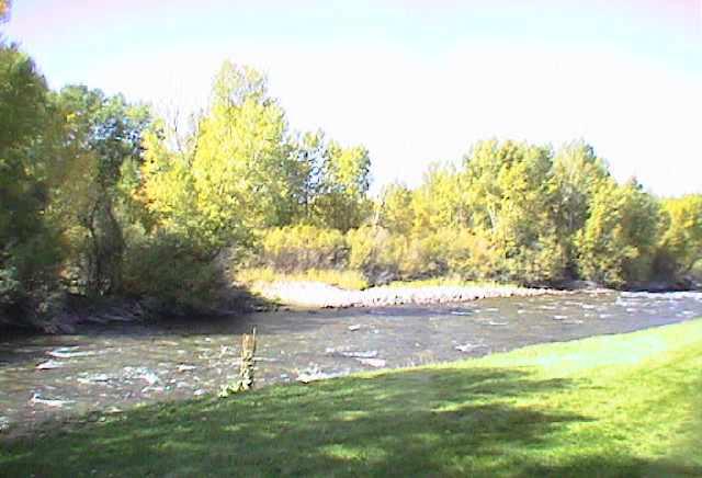 23284 2 Rivers Road, Unit 10A Basalt, CO 81621 - Photo 6 of 7 a view of yard with green space