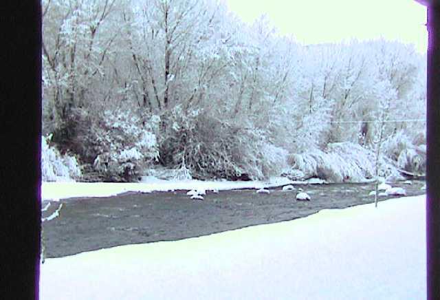 23284 2 Rivers Road, Unit 10A Basalt, CO 81621 - Photo 7 of 7 a view of a backyard of the house