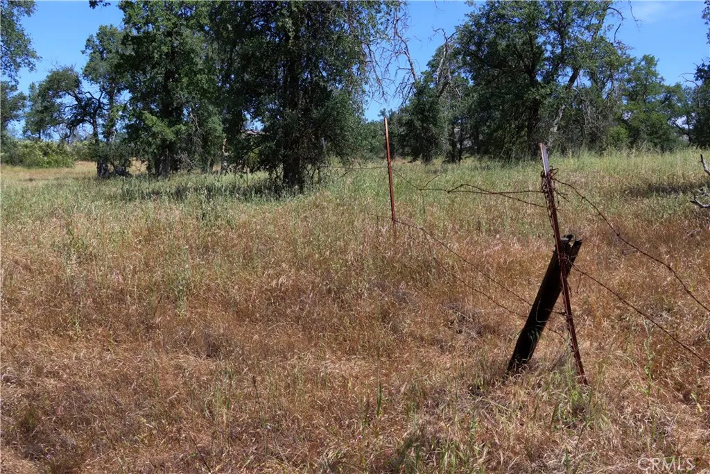 80 Polk Ranch Road Coarsegold, CA 93614 - Photo 24 of 31