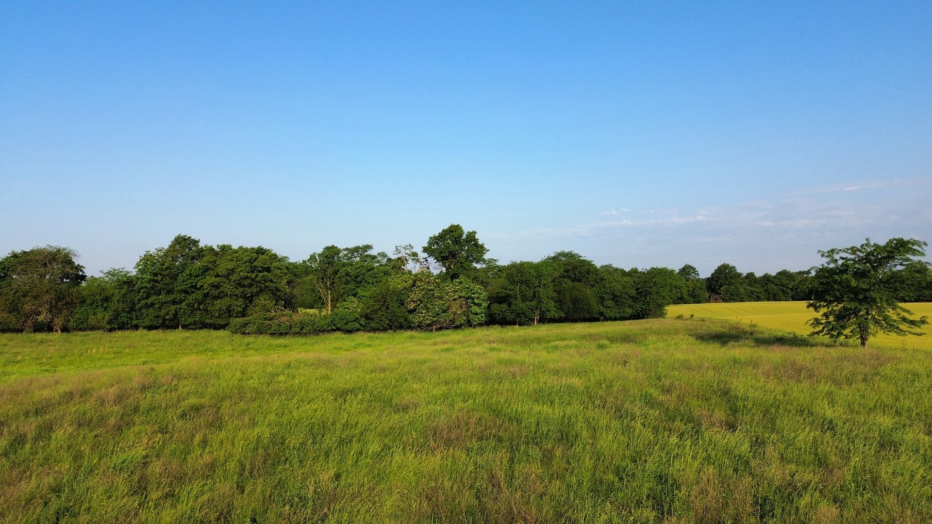 0 County Highway 29 Road Rinard, IL 62878 - Photo 15 of 28