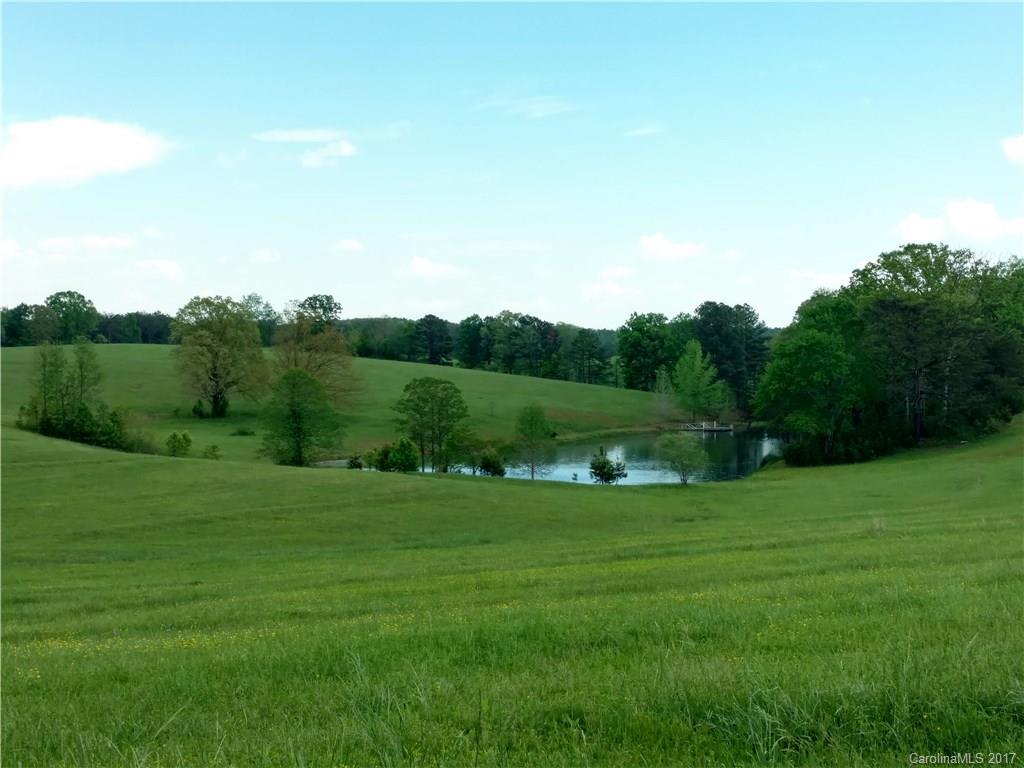 Lot 3-20 Thompson Rd Mill Spring Mill Spring, NC 28756 - Photo 4 of 16
