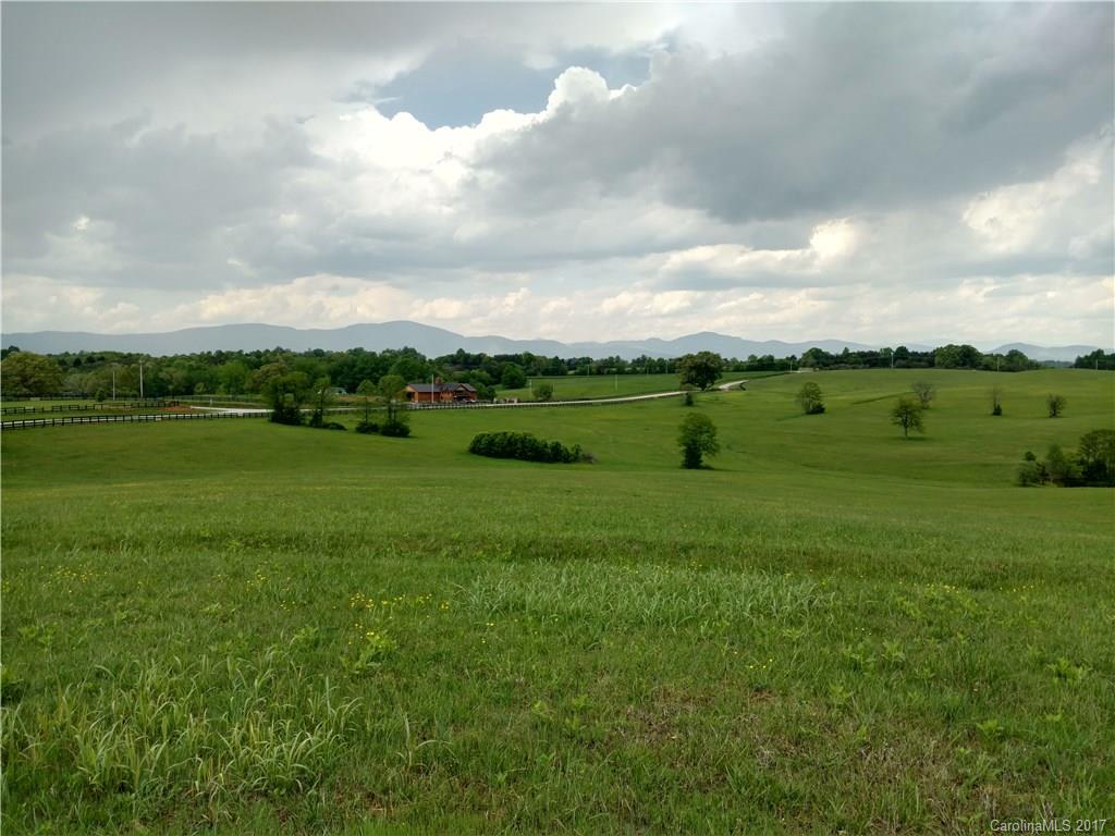Lot 3-20 Thompson Rd Mill Spring Mill Spring, NC 28756 - Photo 5 of 16