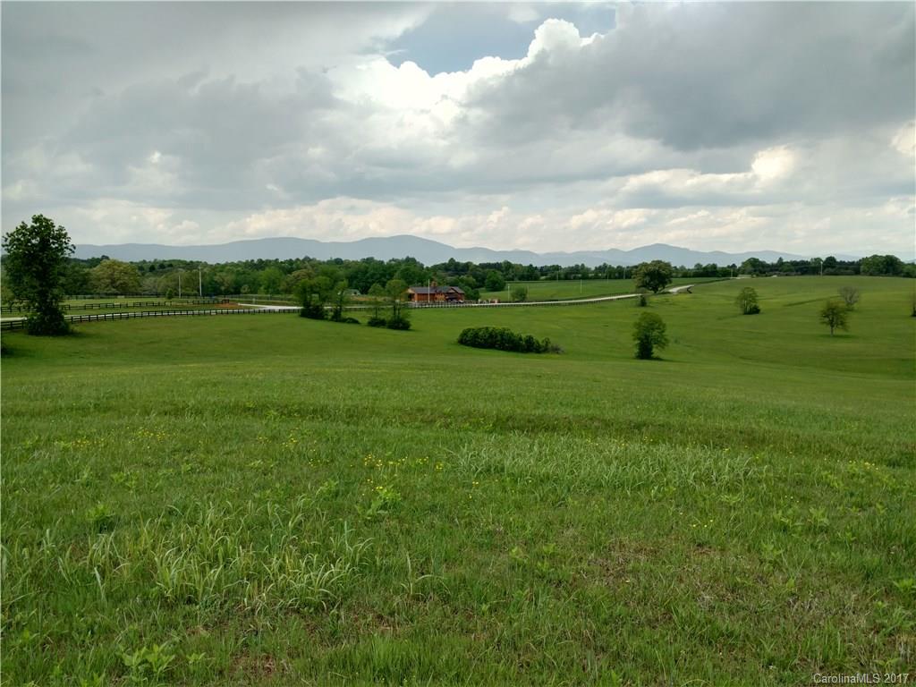 Lot 3-20 Thompson Rd Mill Spring Mill Spring, NC 28756 - Photo 6 of 16