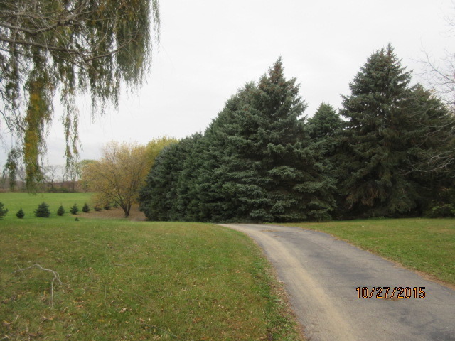 9N052 Corron Road Elgin, IL 60124 - Photo 18 of 19 a view of a field with an trees
