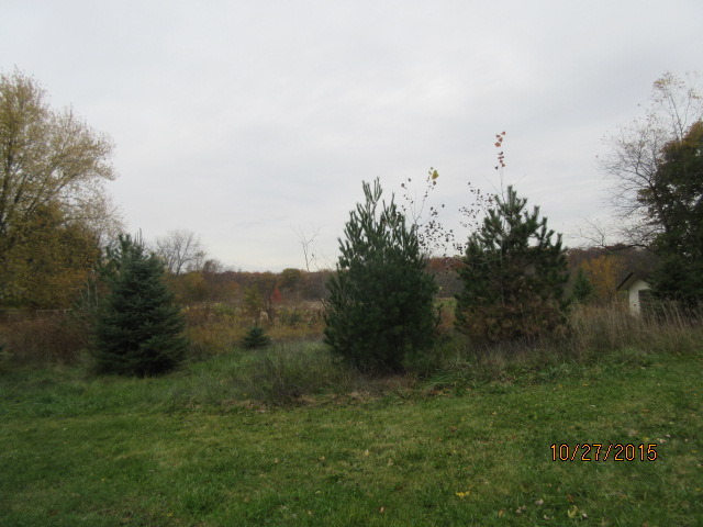 9N052 Corron Road Elgin, IL 60124 - Photo 19 of 19 a view of a field of grass and trees