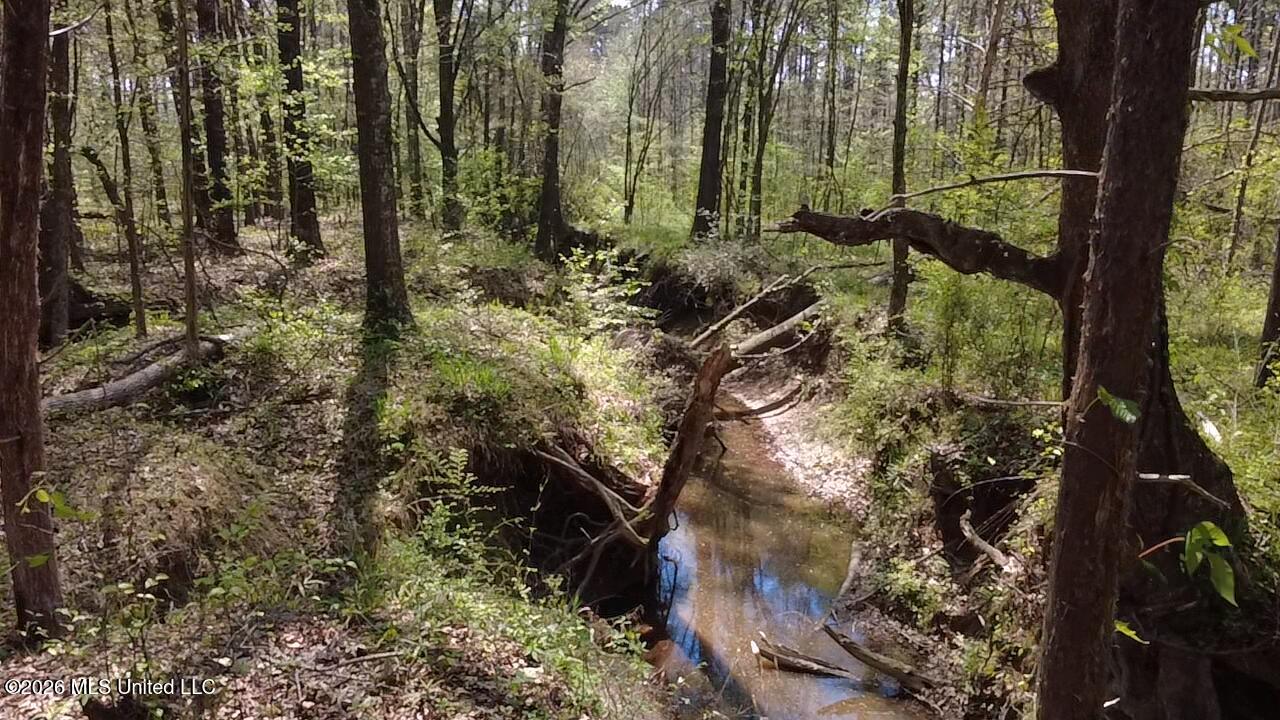 1256 Barnes Road Canton, MS 39046 - Photo 11 of 27 JBPF5037