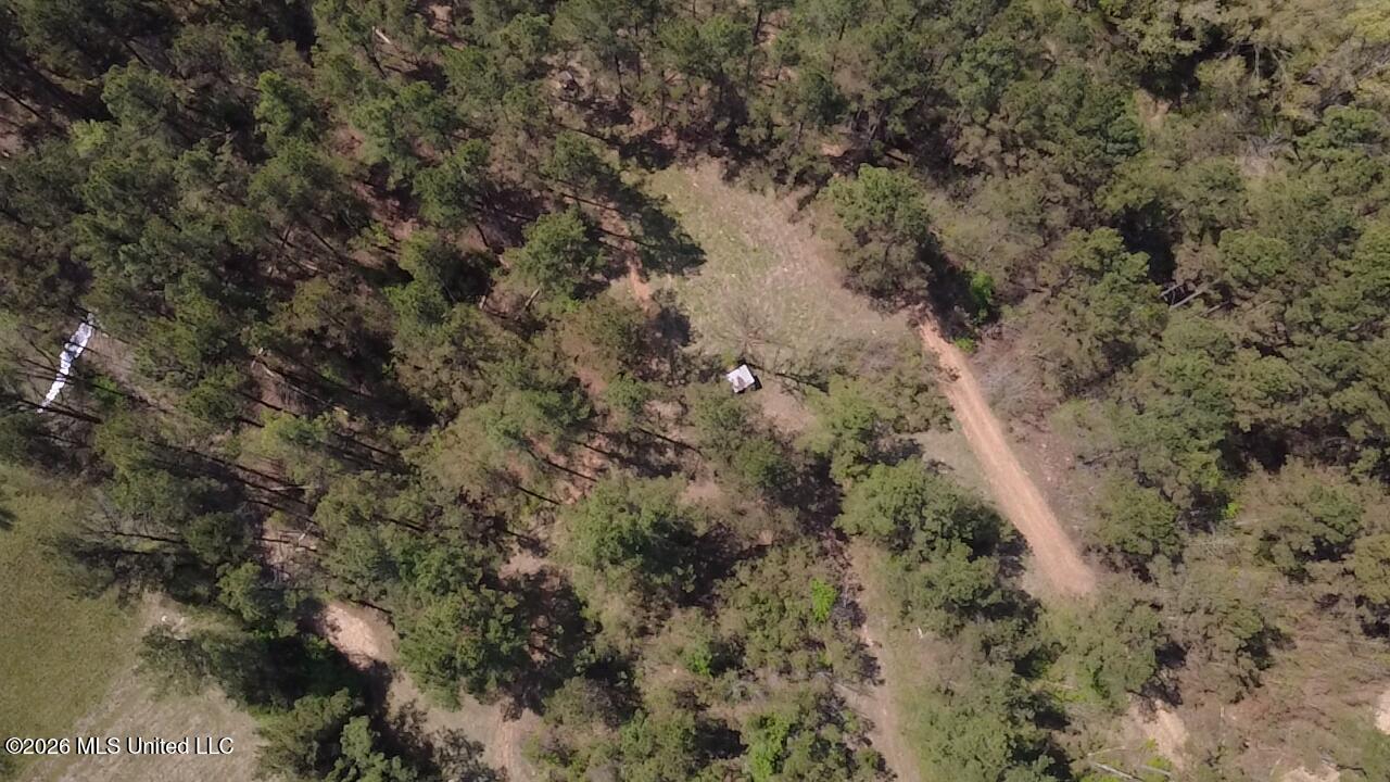 1256 Barnes Road Canton, MS 39046 - Photo 12 of 27 JTYX3137