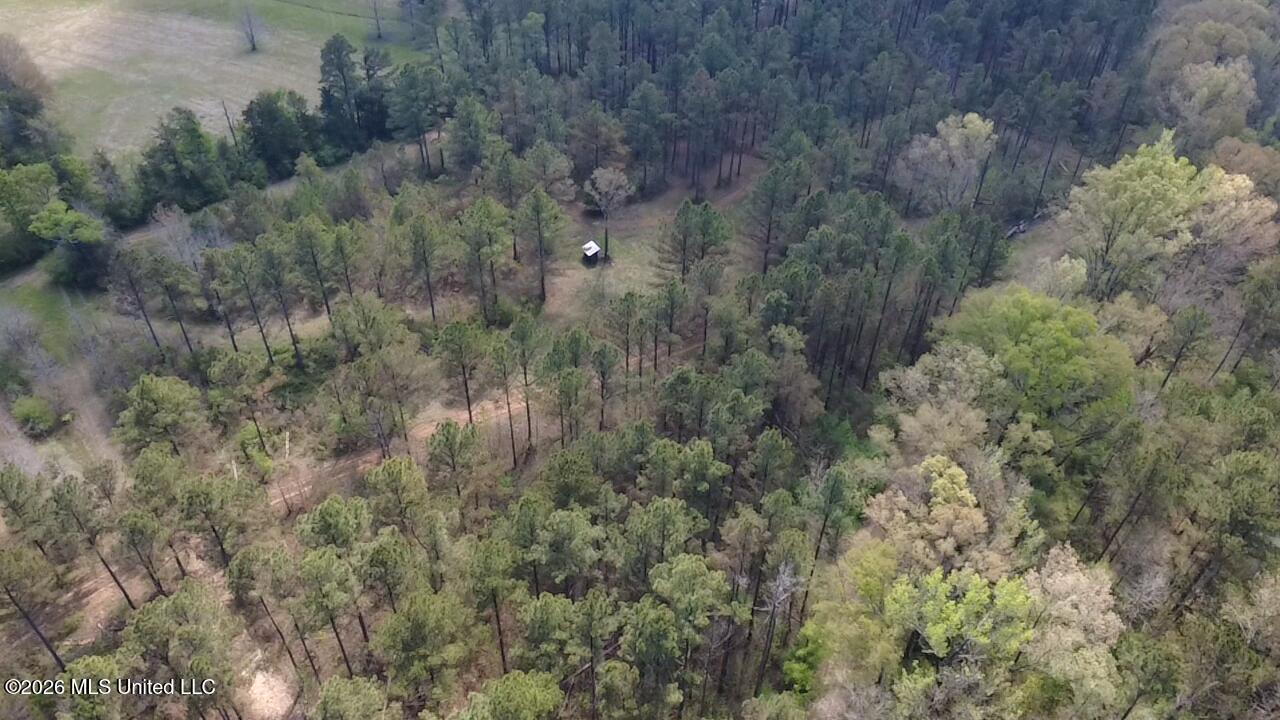 1256 Barnes Road Canton, MS 39046 - Photo 14 of 27 MFVU3037