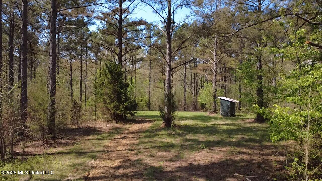 1256 Barnes Road Canton, MS 39046 - Photo 16 of 27 NFXR6635