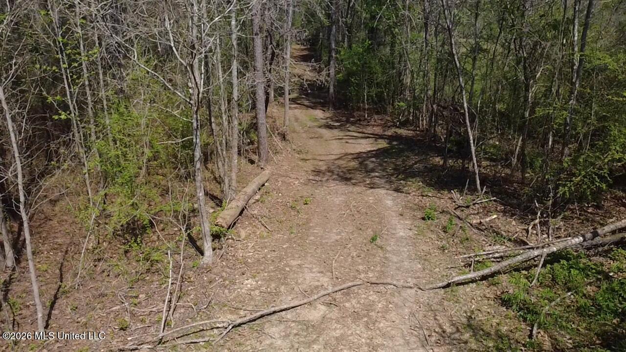 1256 Barnes Road Canton, MS 39046 - Photo 17 of 27 NXWN1878