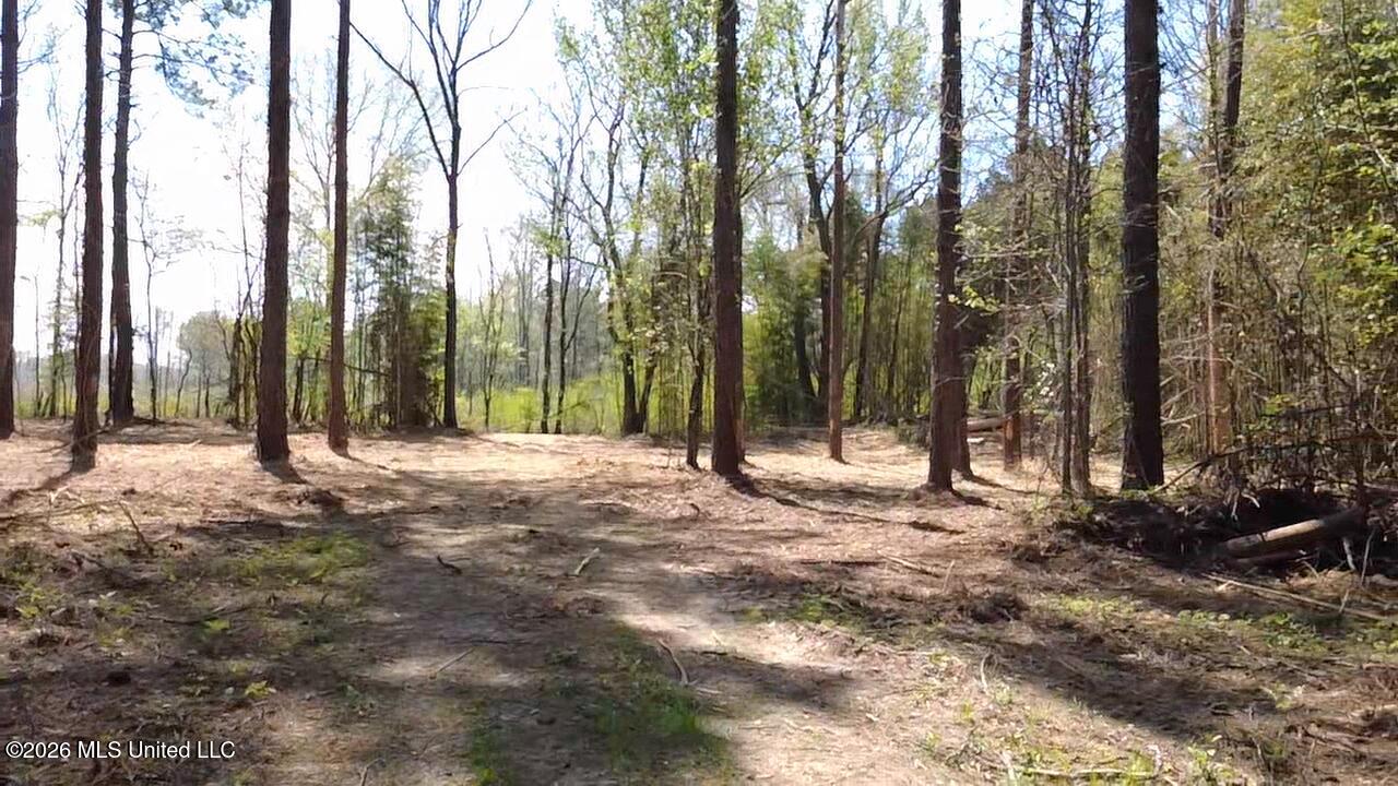 1256 Barnes Road Canton, MS 39046 - Photo 18 of 27 OENM5524