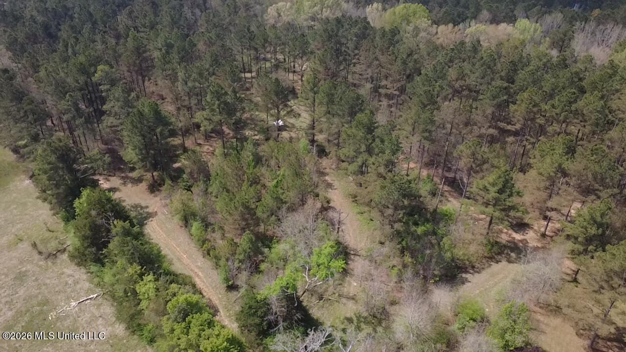 1256 Barnes Road Canton, MS 39046 - Photo 20 of 27 RJSU2208