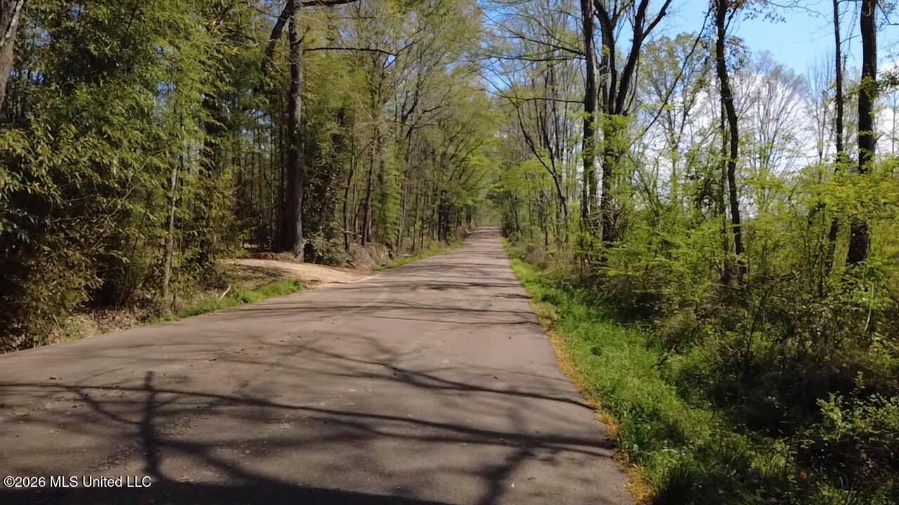 1256 Barnes Road Canton, MS 39046 - Photo 2 of 27 JCLC3524