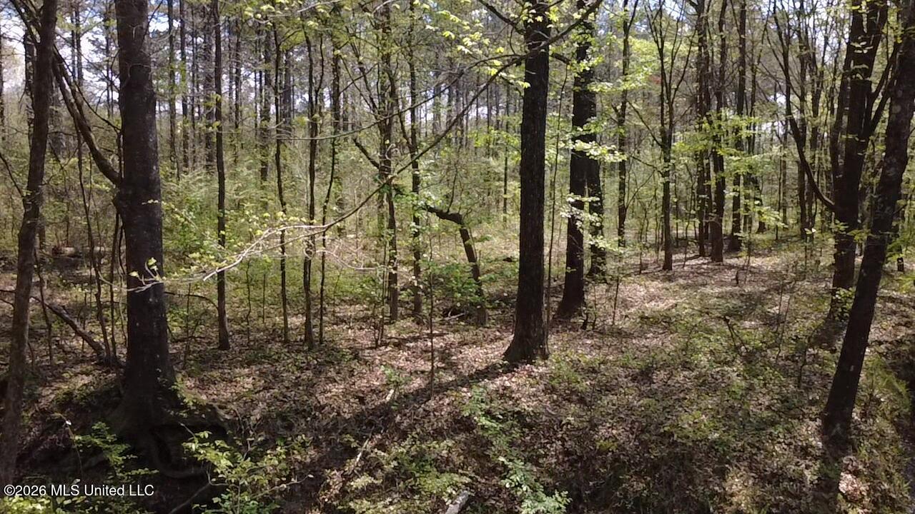 1256 Barnes Road Canton, MS 39046 - Photo 21 of 27 RURS9297