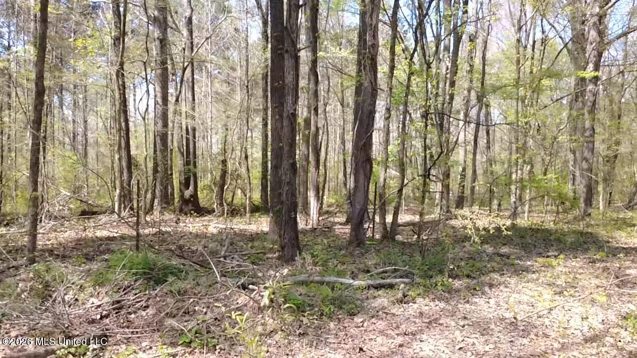 1256 Barnes Road Canton, MS 39046 - Photo 22 of 27 TNRX9005