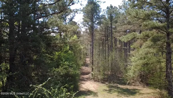 $199,900 | 1256 Barnes Road, Canton, MS 39046