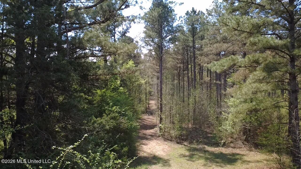 1256 Barnes Road Canton, MS 39046 - Photo 23 of 27 UFGD6299