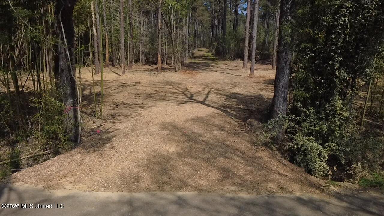 1256 Barnes Road Canton, MS 39046 - Photo 24 of 27 UJBC6086