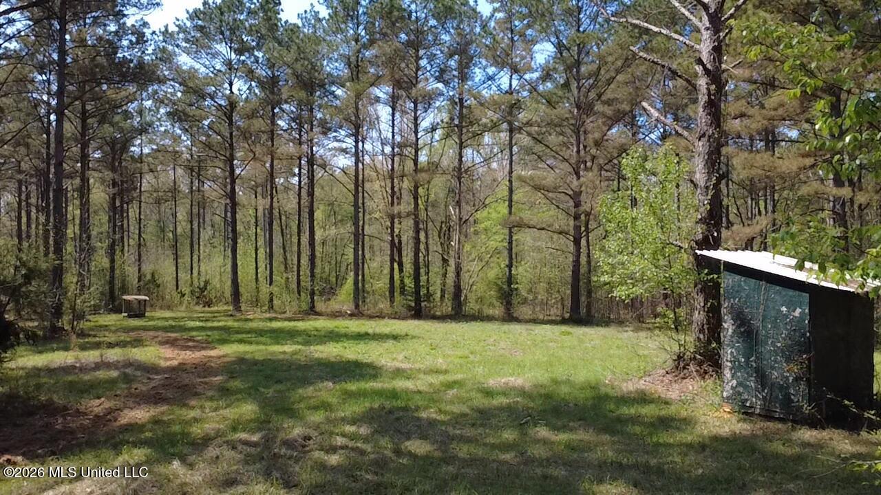 1256 Barnes Road Canton, MS 39046 - Photo 25 of 27 XVGX3318