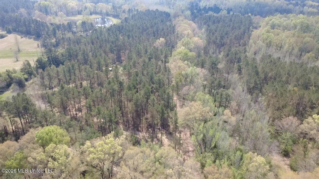 1256 Barnes Road Canton, MS 39046 - Photo 26 of 27 YEBH1148