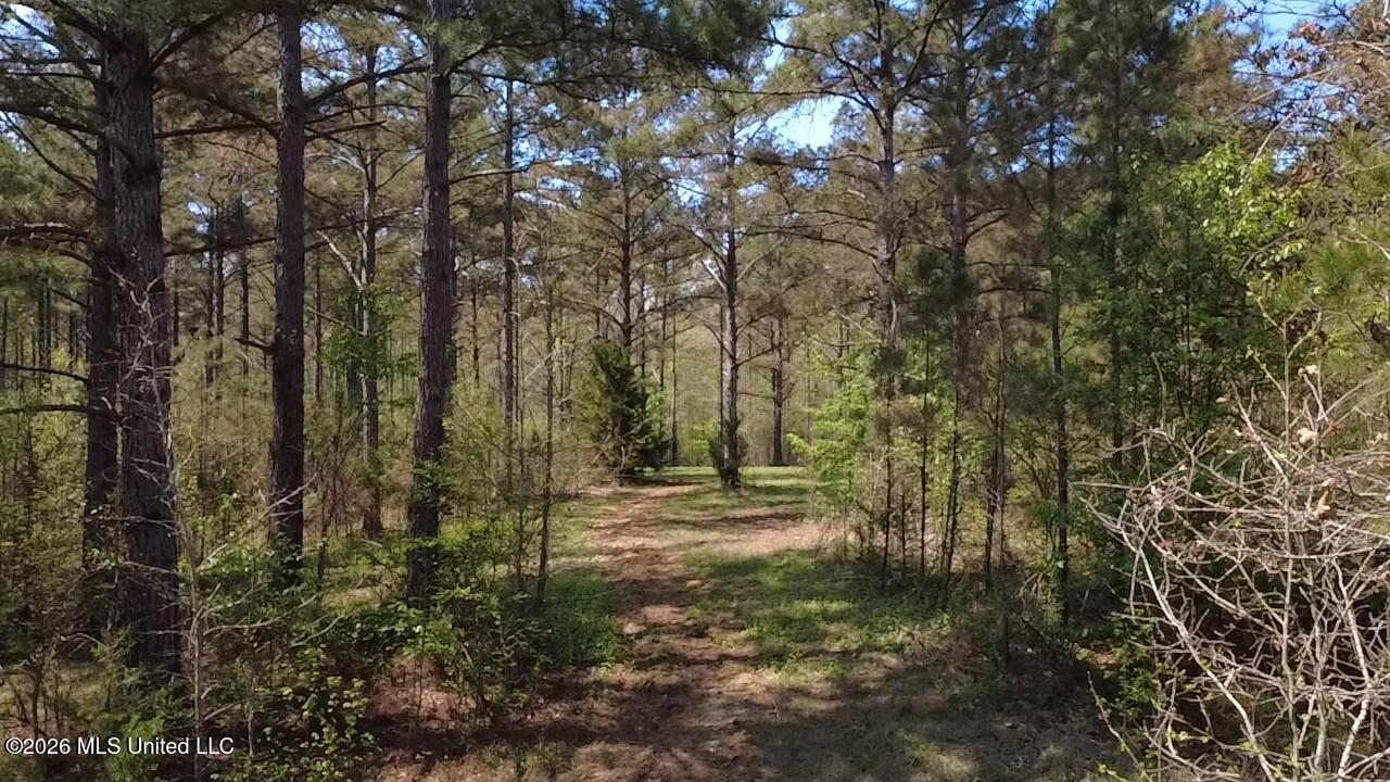 1256 Barnes Road Canton, MS 39046 - Photo 3 of 27 AJTB6581